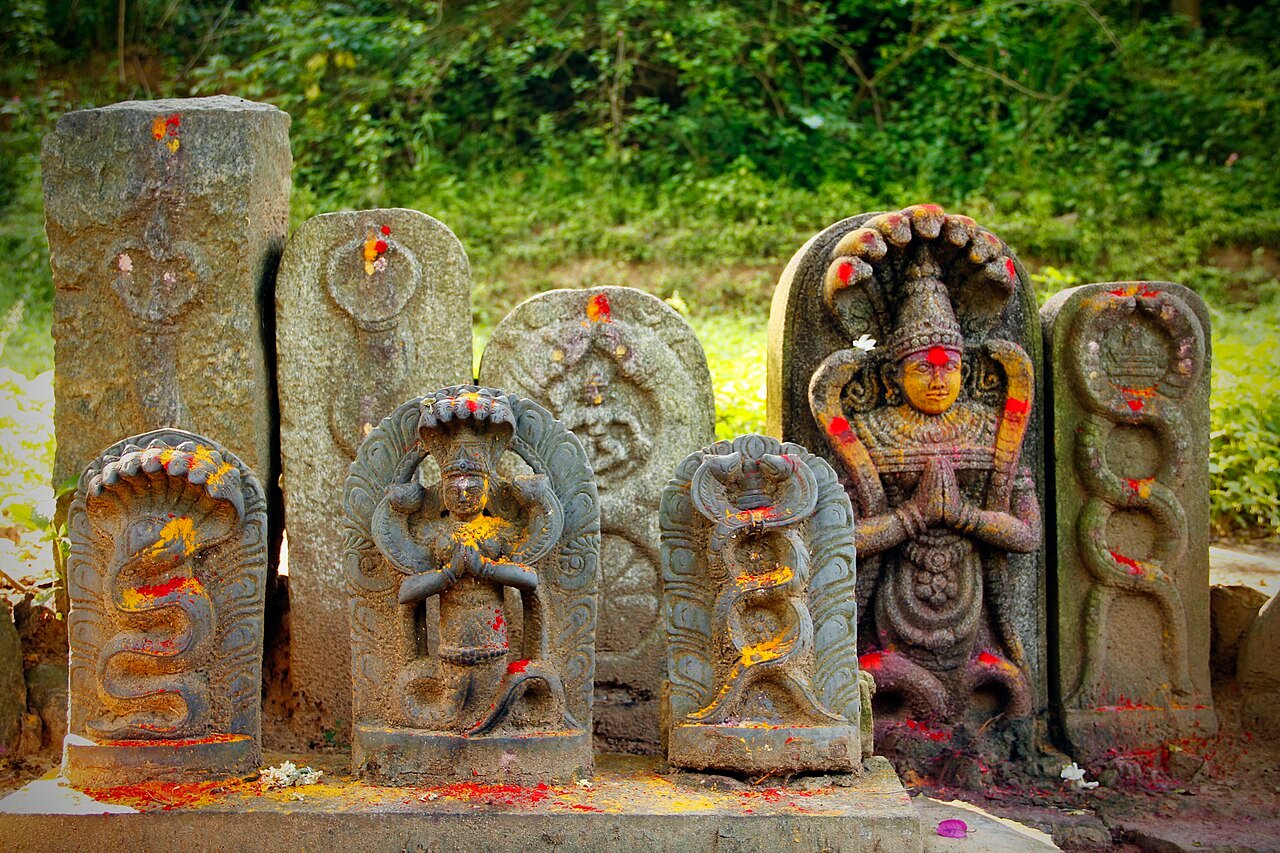 Remedy of Kaal Sarp Yoga
